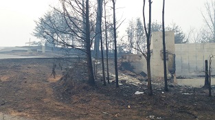 Nashville Hidden Spring Resort Fire