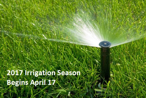 Boise HOA Management Irrigation Blog