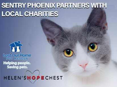 Sentry Helen's Hope Chest - Local Charity Image